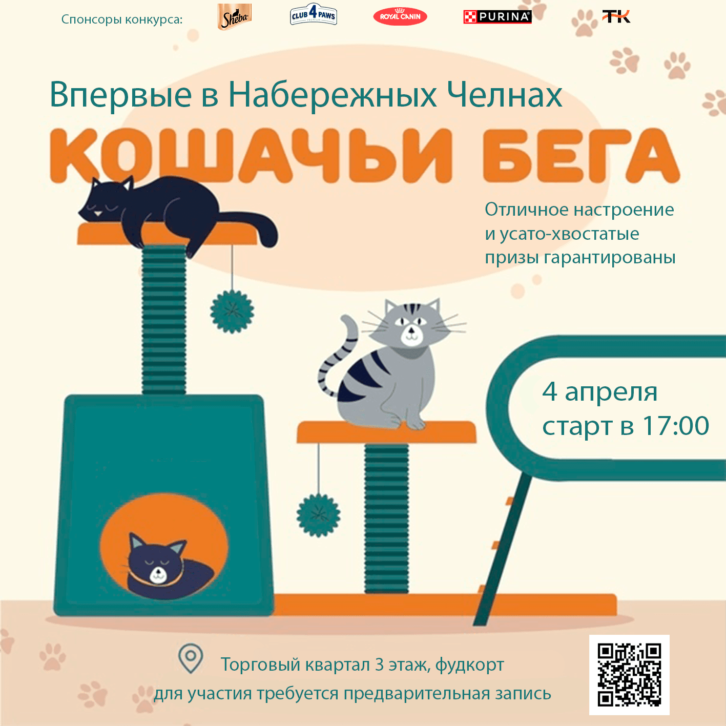 Анонс кошачьих бегов